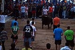 Jornada taurina en las fiestas de la Sagrada Familia