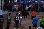 Jornada taurina en las fiestas de la Sagrada Familia