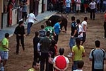 Jornada taurina en las fiestas de la Sagrada Familia