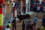 Jornada taurina en las fiestas de la Sagrada Familia