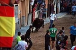 Jornada taurina en las fiestas de la Sagrada Familia