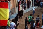 Jornada taurina en las fiestas de la Sagrada Familia