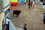 Jornada taurina en las fiestas de la Sagrada Familia