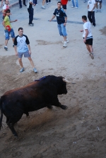 Jornada taurina en las fiestas de la Sagrada Familia