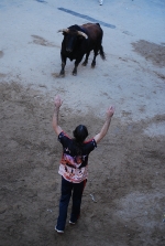 Jornada taurina en las fiestas de la Sagrada Familia