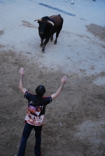 Jornada taurina en las fiestas de la Sagrada Familia