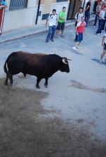 Jornada taurina en las fiestas de la Sagrada Familia