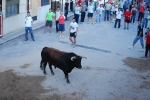 Jornada taurina en las fiestas de la Sagrada Familia