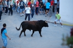 Jornada taurina en las fiestas de la Sagrada Familia