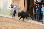 Toro de la tarde y encierro infantil