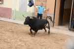 Toro de la tarde y encierro infantil