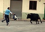 Toro de la tarde y encierro infantil