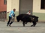 Toro de la tarde y encierro infantil
