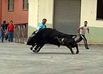 Toro de la tarde y encierro infantil