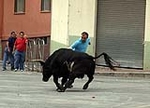 Toro de la tarde y encierro infantil