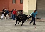Toro de la tarde y encierro infantil