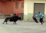 Toro de la tarde y encierro infantil