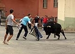 Toro de la tarde y encierro infantil