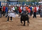 Toro de la tarde y encierro infantil