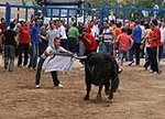 Toro de la tarde y encierro infantil