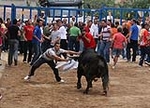 Toro de la tarde y encierro infantil