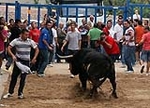 Toro de la tarde y encierro infantil