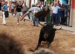 Toro de la tarde y encierro infantil