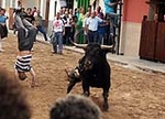 Toro de la tarde y encierro infantil