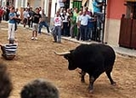 Toro de la tarde y encierro infantil