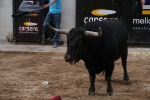 Toro de la tarde y encierro infantil