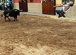 Toro de la tarde y encierro infantil