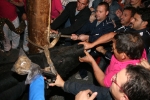 Carbonaire pone el punto y final a las exhibiciones taurinas