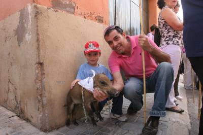 Fotografia /Gallery/21870_12456/5_M1.jpg