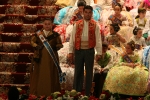 Cort i Reina