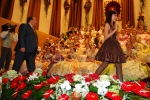 Cort i Reina