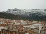 Fotografia /Gallery/24722_14034/5_M1.jpg