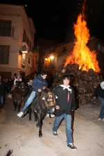 Borriol vive Sant Antoni con la hoguera y la procesión
