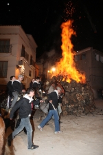 Borriol vive Sant Antoni con la hoguera y la procesión