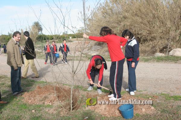 Los escolares del CP Illes Columbretes plantan árboles en el paraje del Clot