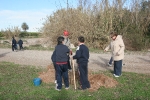Los escolares del CP Illes Columbretes plantan árboles en el paraje del Clot