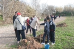 Los escolares del CP Illes Columbretes plantan árboles en el paraje del Clot