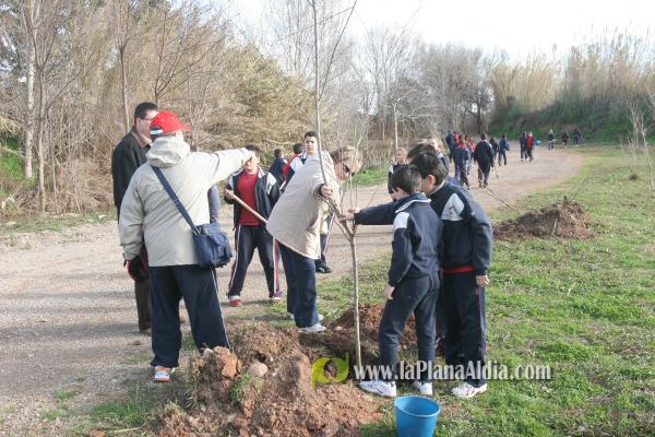 Los escolares del CP Illes Columbretes plantan árboles en el paraje del Clot