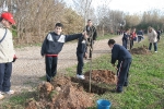 Los escolares del CP Illes Columbretes plantan árboles en el paraje del Clot