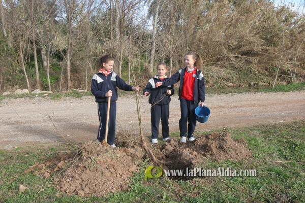 Los escolares del CP Illes Columbretes plantan árboles en el paraje del Clot