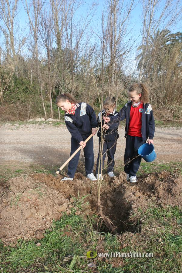 Los escolares del CP Illes Columbretes plantan árboles en el paraje del Clot