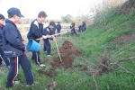 Los escolares del CP Illes Columbretes plantan árboles en el paraje del Clot