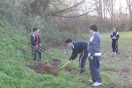 Los escolares del CP Illes Columbretes plantan árboles en el paraje del Clot