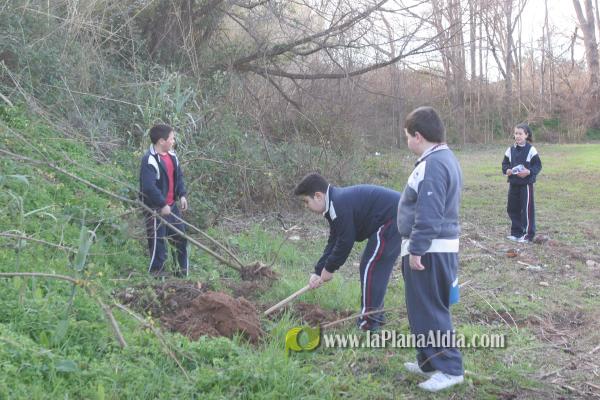 Los escolares del CP Illes Columbretes plantan árboles en el paraje del Clot