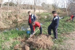 Los escolares del CP Illes Columbretes plantan árboles en el paraje del Clot