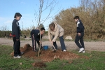 Los escolares del CP Illes Columbretes plantan árboles en el paraje del Clot